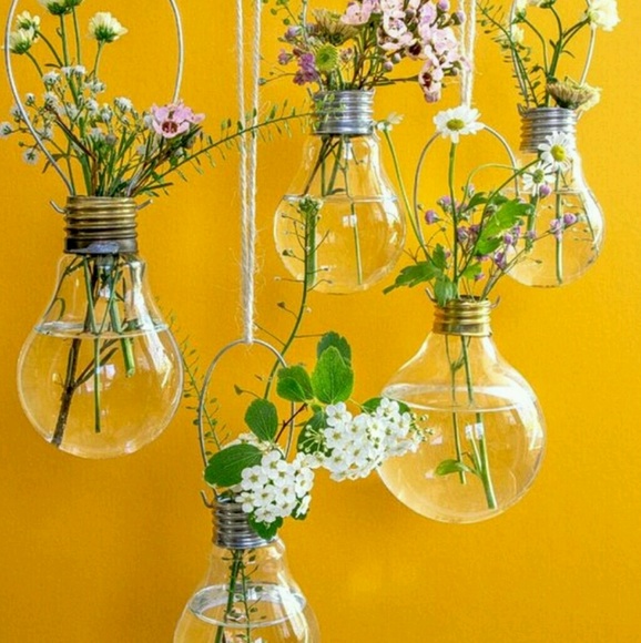 Meet your Posher, Lynn - Picture 1 of 1